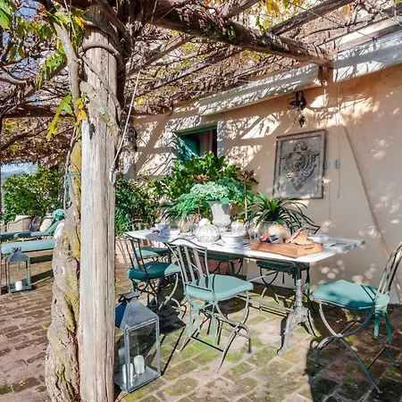 Gufo Villa Lucca
