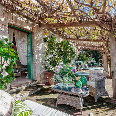 Gufo Villa Lucca